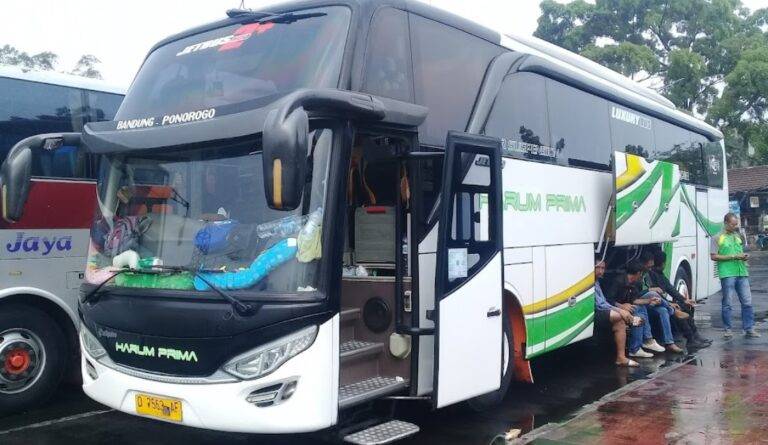 Bus Harum Prima