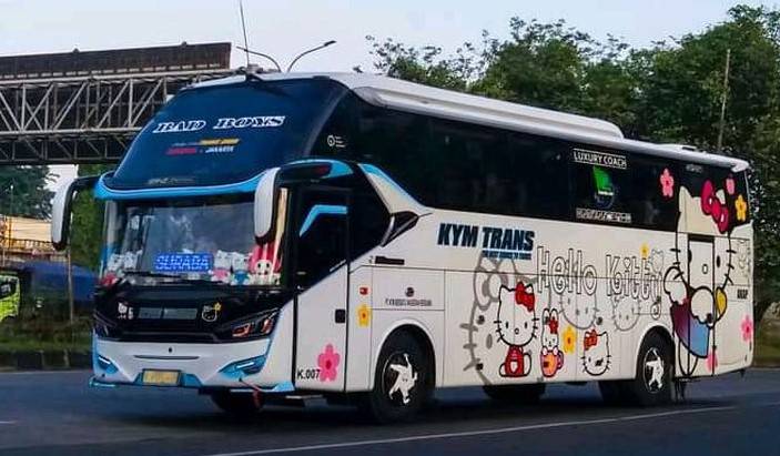 Bus KYM Trans