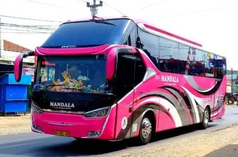 Bus Mandala