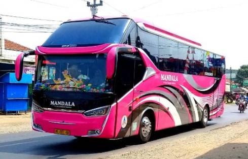 Bus Mandala