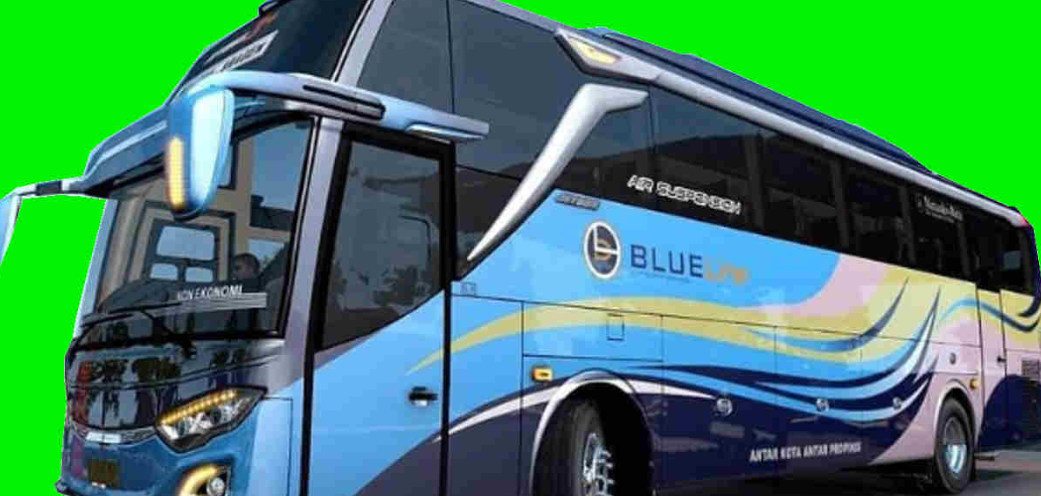 Bus Blue Line