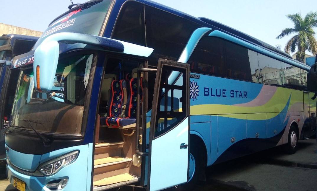 Bus Blue Star