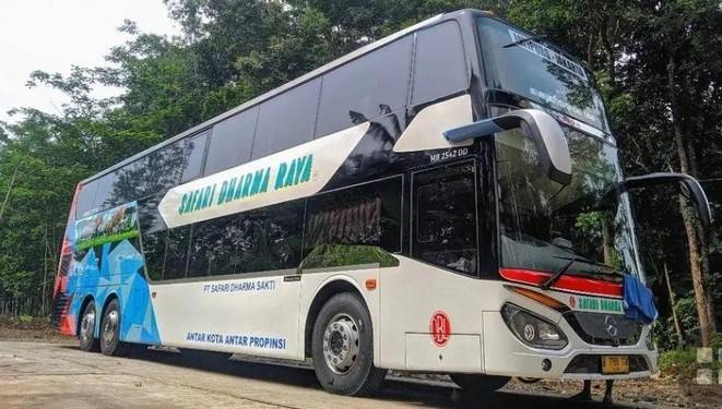 Bus Safari Dharma Raya