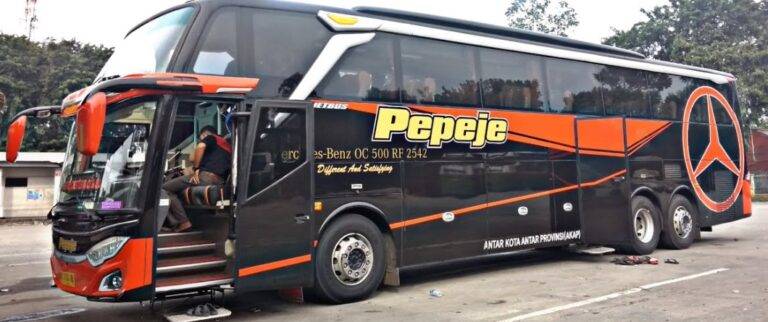 Bus Pepeje